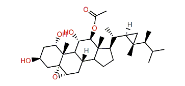 Isihippurol B